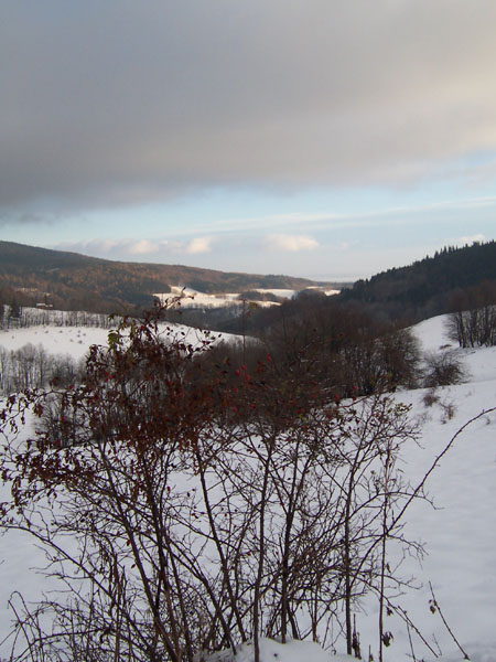 na fotce: nedělní ráno nad Travnou