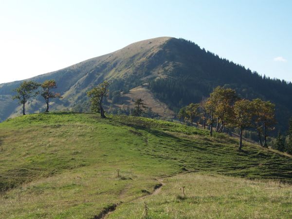 na fotce: před námi step a za ní Borišov