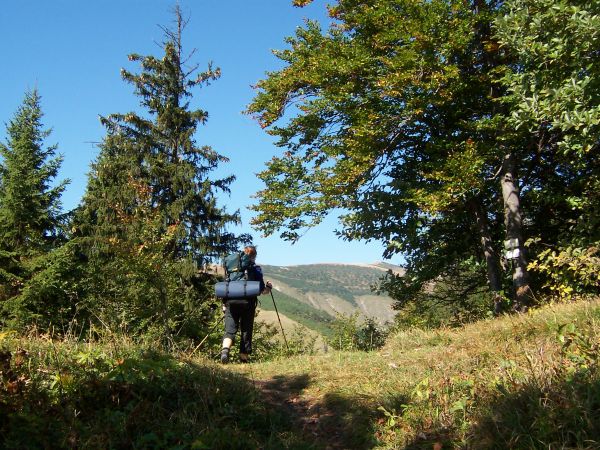 na fotce: sedlo u Majerovy skály a v dáli již Križná