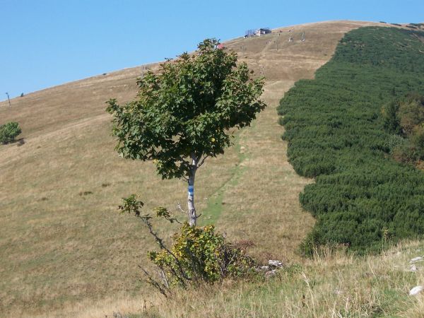 na fotce: před námi konečná stanice lanovky na Lišce