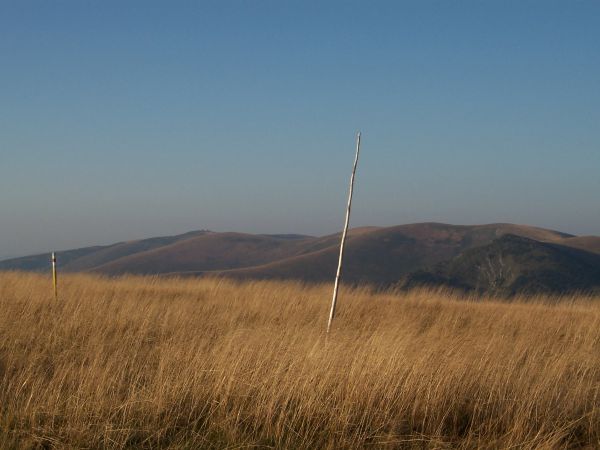 na fotce: to bude asi směrem na Križnou