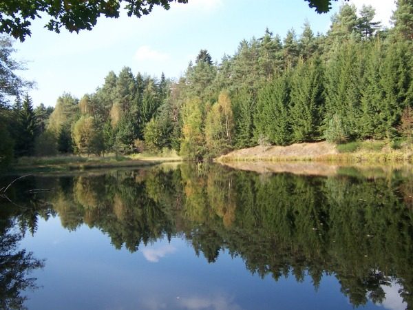 na fotce: rybníček taktéž nedaleko Landštejna