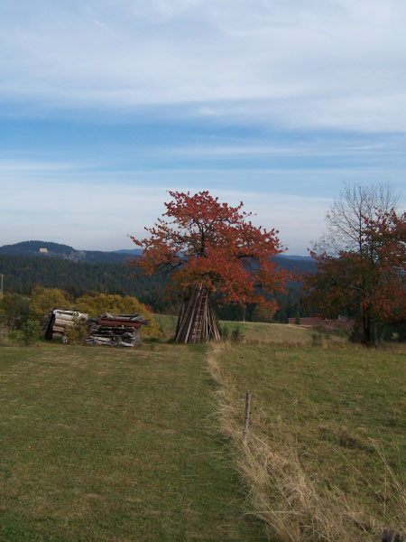 na fotce: pohled z Grúně na Sulov