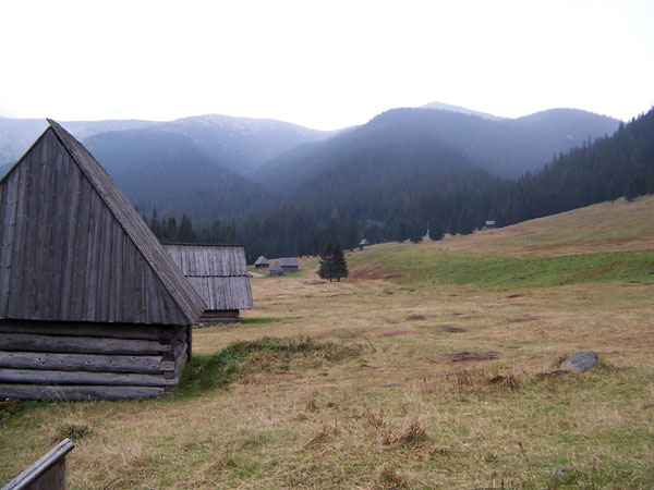 na fotce: Chocholowska Polana