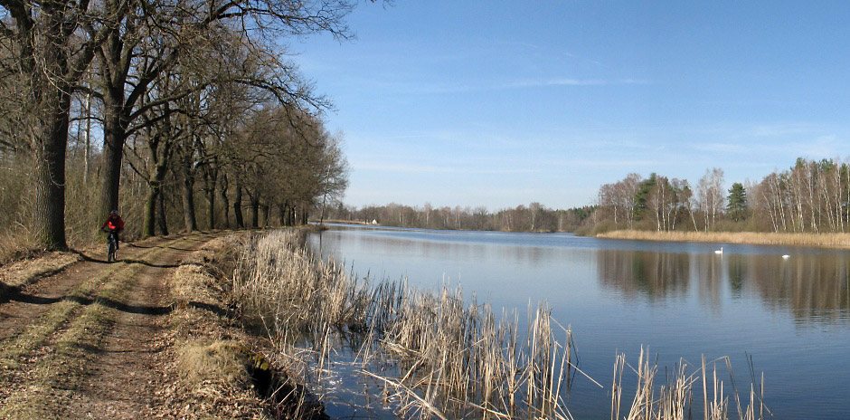 na fotce: rybník s Jančou a labutěma