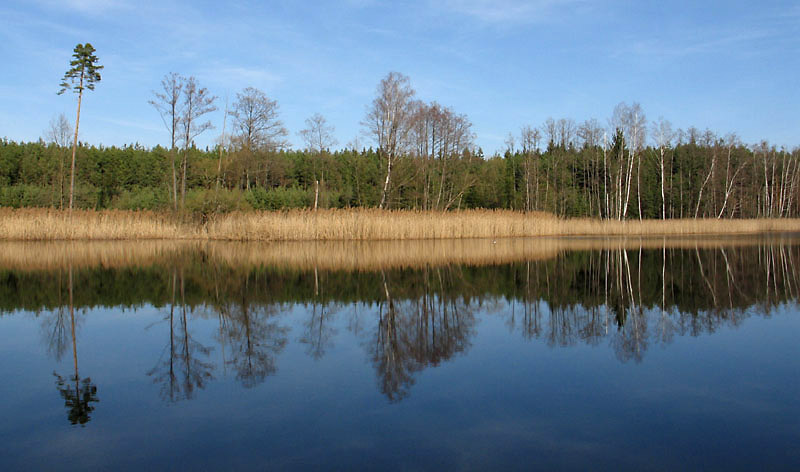 na fotce: zase jinej rybník